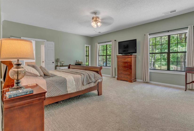Expansive room featuring light green walls, neutral carpet flooring, a ceiling fan with integrated lighting, and multiple windows with grids