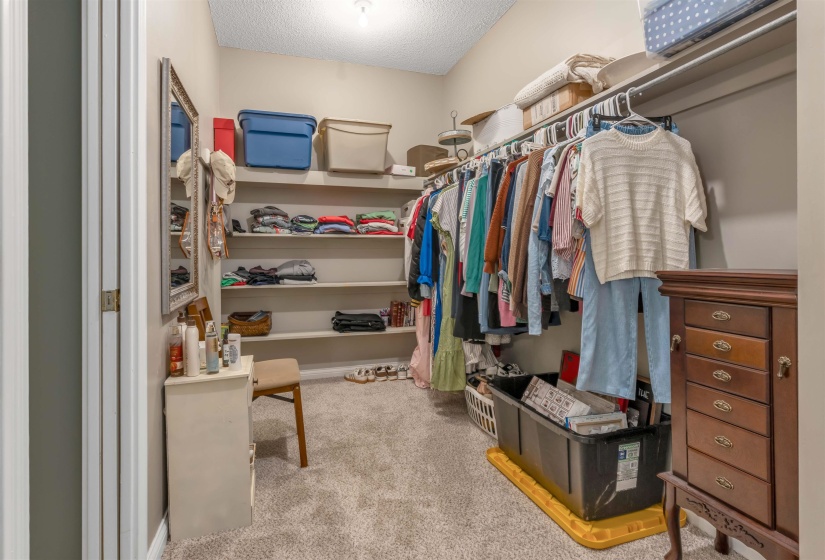 Expansive walk-in closet featuring extensive built-in shelving, clothing rods, and carpeting