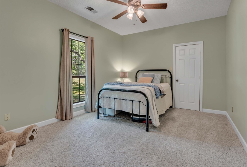 Carpeted room featuring a single window, a ceiling fan, a paneled door, and light green walls
