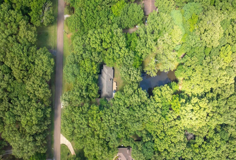 Aerial perspective showcasing a secluded property surrounded by dense, verdant tree canopy