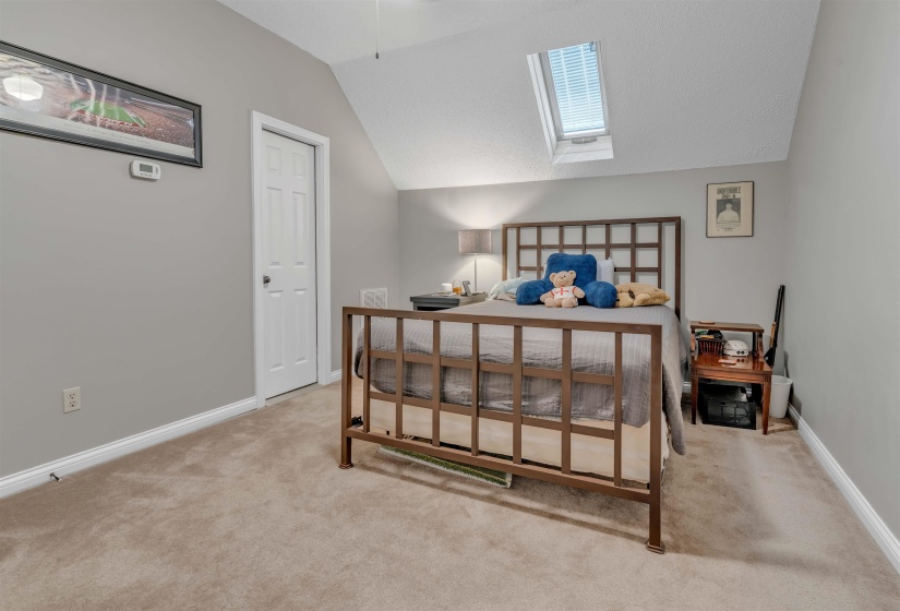 Carpeted room featuring a vaulted ceiling, an overhead skylight, a paneled door, and neutral gray wall paint with white trim