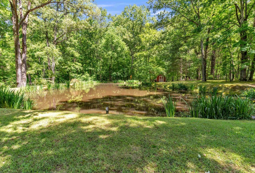 Expansive green lawn bordering a natural pond with abundant aquatic vegetation