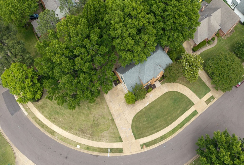 Brick residence featuring a gabled roof and surrounding mature trees