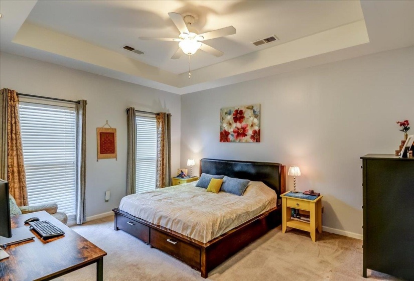 Carpeted room featuring a tray ceiling with a ceiling fan, two windows with blinds, and light gray wall paint