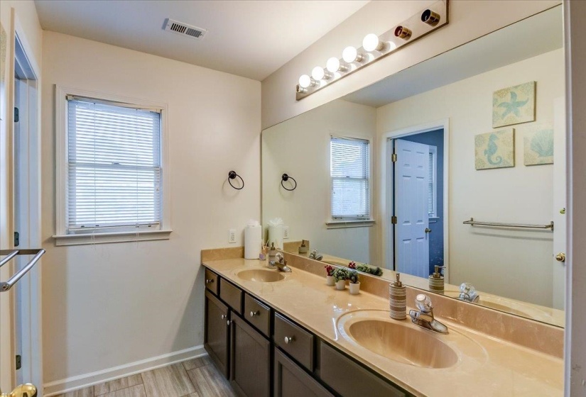 Dual sink vanity with dark wood-finish cabinetry and light-toned countertops