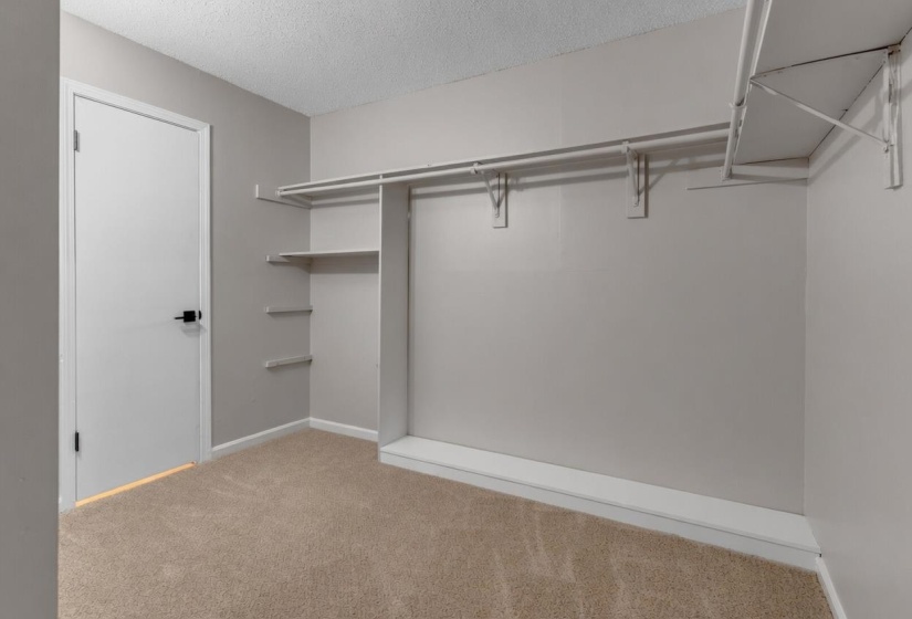 Closet space featuring neutral-toned carpeting, light grey walls, and white trim