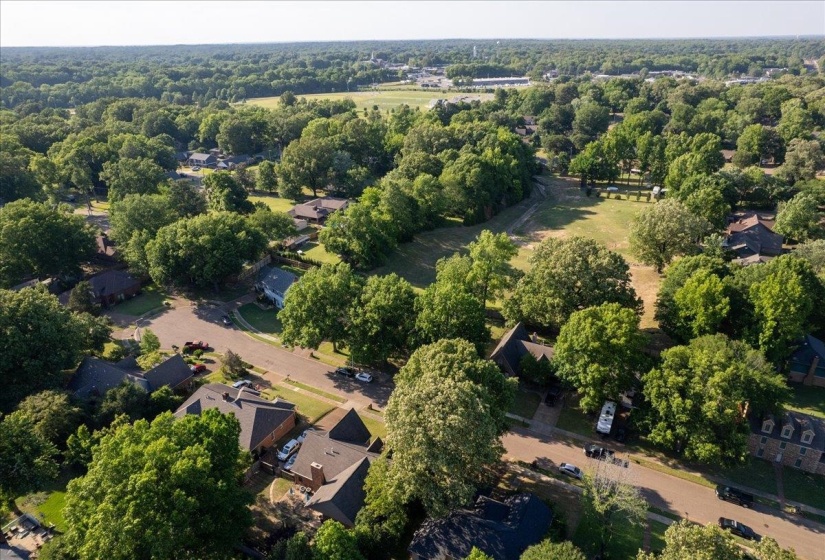 Aerial perspective showcasing a residential area with extensive tree canopy