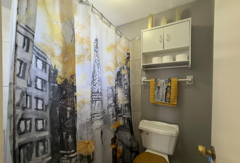 Built-in wall cabinet with double doors and open shelving, above a white toilet with a wood-finish seat