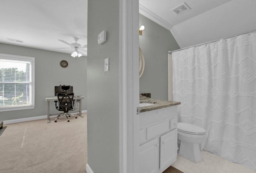 Bathroom with lofted ceiling, toilet, vanity, ceiling fan, and ornamental molding