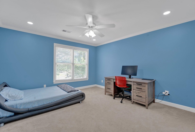 Carpeted bedroom with crown molding and ceiling fan