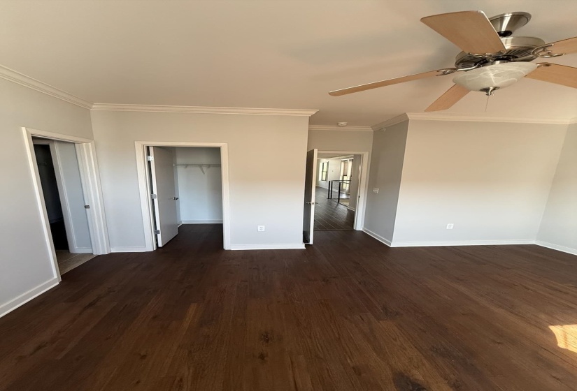 Unfurnished bedroom featuring dark wood-type flooring, a walk in closet, and a ceiling fan