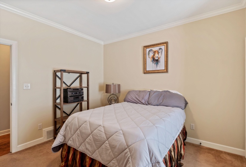 Carpeted room with crown molding and light-toned walls