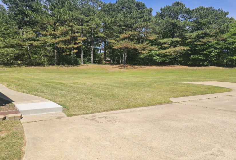 Expansive grassy yard area with mature trees forming a natural perimeter