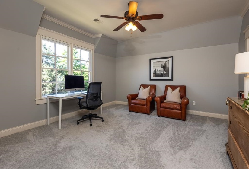 Carpeted room featuring a ceiling fan, crown molding, and a large window with white trim