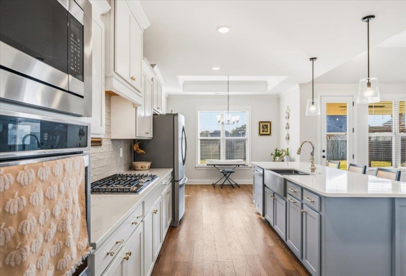 Kitchen featuring a tray ceiling, stainless steel appliances, hanging light fixtures, white cabinetry, and dark wood-style flooring
