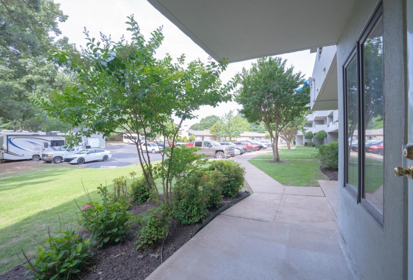 Concrete walkway bordered by planted shrubbery and young trees