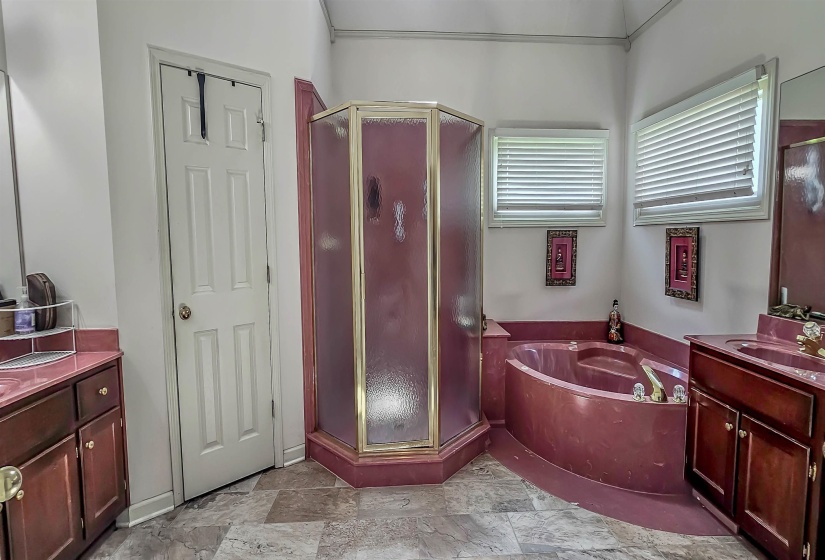 Dual sinks, whirlpool tub, walk-in shower & walk-in closets