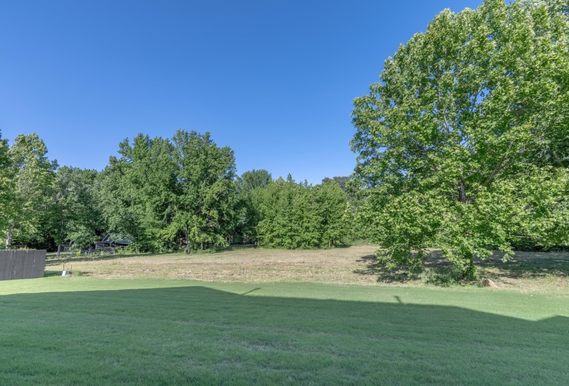 Backyard featuring a manicured lawn, mature trees, and a distant treeline