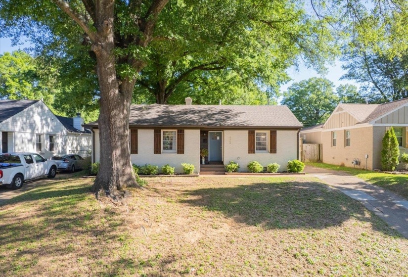 Charming single-story residence featuring a painted brick exterior, dark brown shutters, and a front entry door with a sidelight