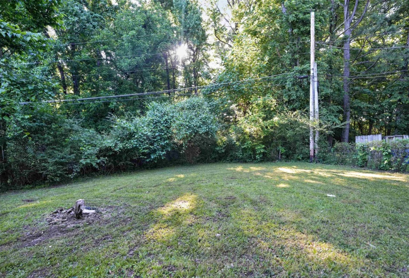 Expansive grassy lawn bordered by mature trees and varied foliage