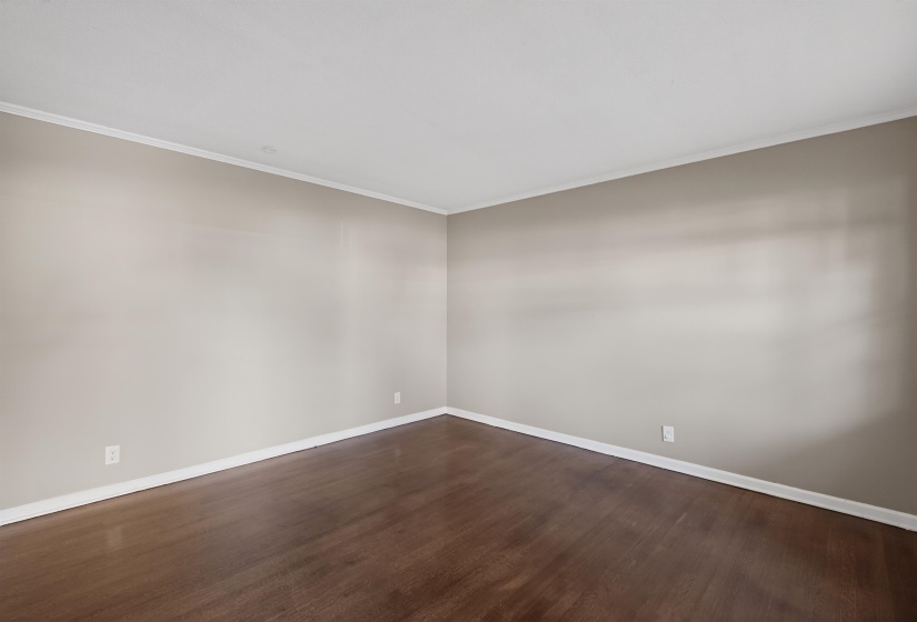 Expansive room featuring wood-finish flooring, light neutral wall paint, white trim, and crown molding