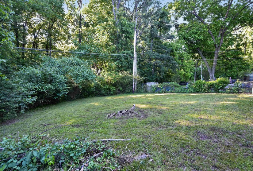 Expansive green lawn with a natural tree line perimeter