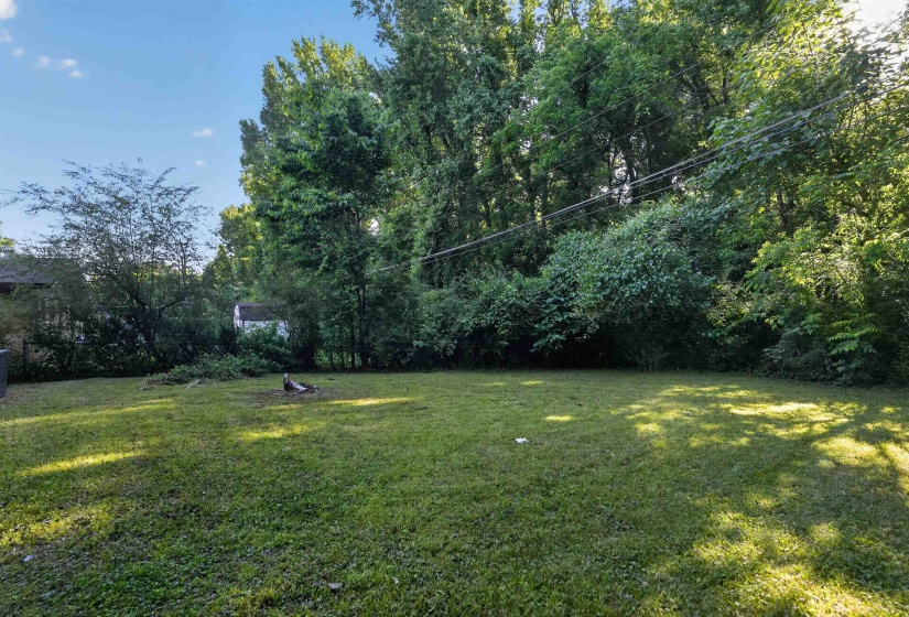 Expansive grassy yard surrounded by mature trees and varied foliage