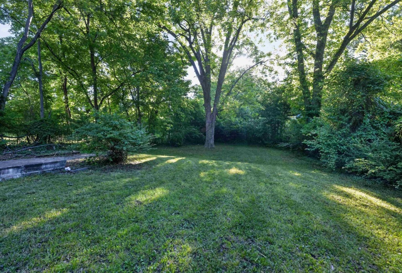 Expansive green lawn surrounded by mature trees and lush foliage