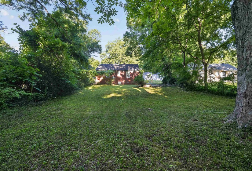Expansive backyard with a lush green lawn, mature trees providing natural shade, and a red brick exterior on the main residence