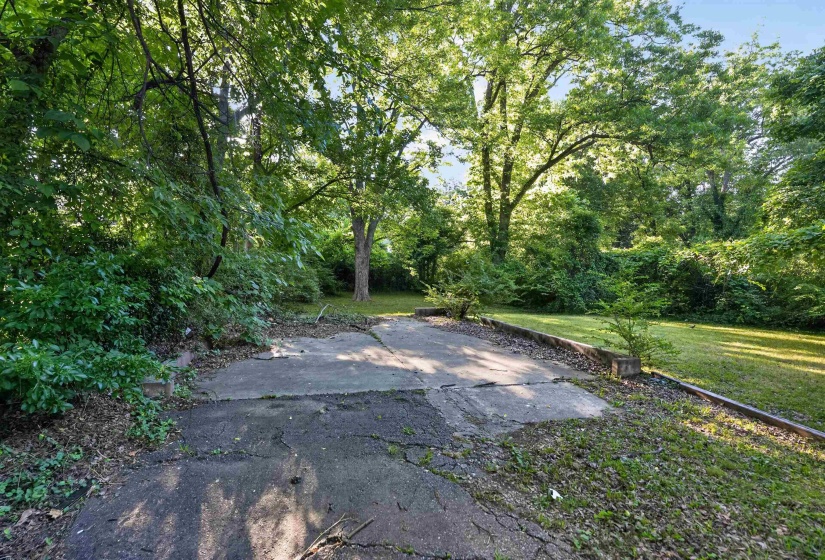 Paved outdoor area with mature trees and surrounding foliage