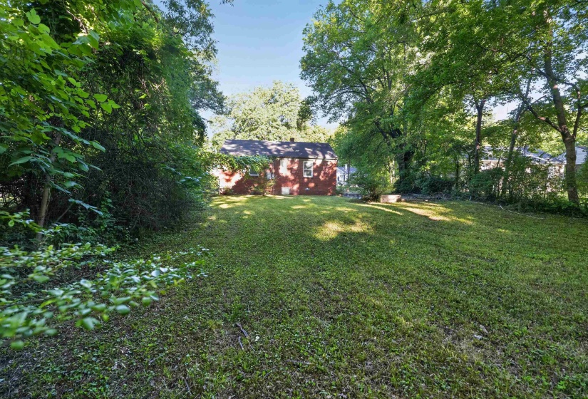 Expansive grassy backyard featuring mature trees, surrounding foliage, and a visible red brick exterior on the home