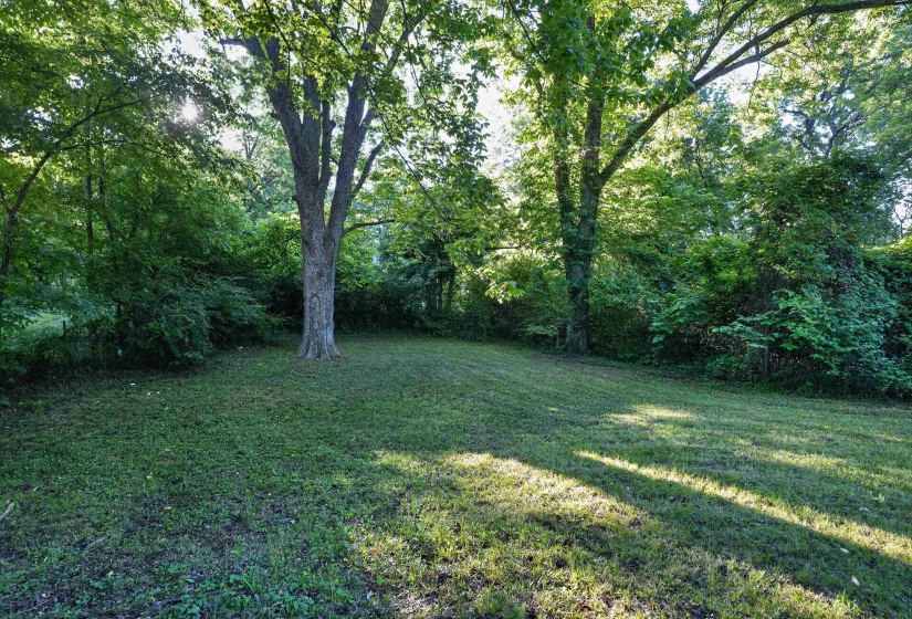 Expansive green space featuring a sloped lawn and mature trees