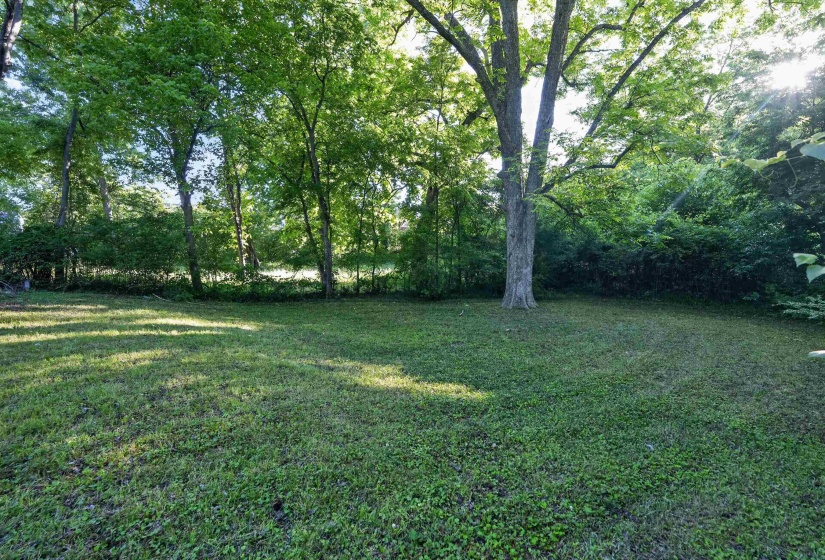 Expansive green lawn surrounded by mature trees, offering a private outdoor setting