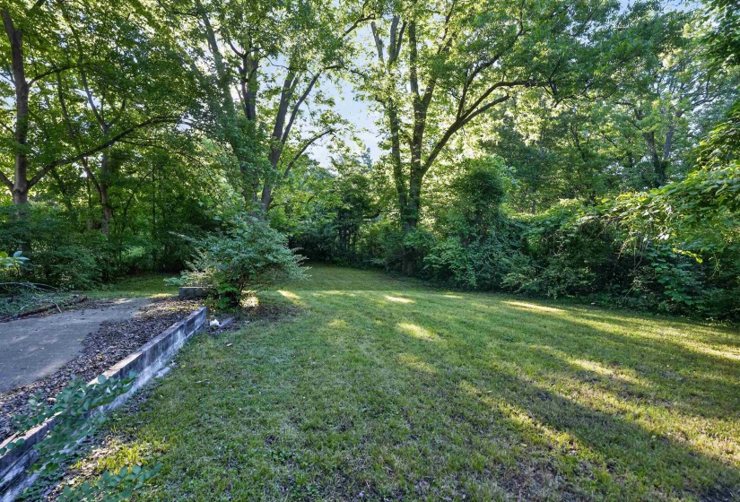 Expansive green lawn surrounded by mature trees and natural landscaping