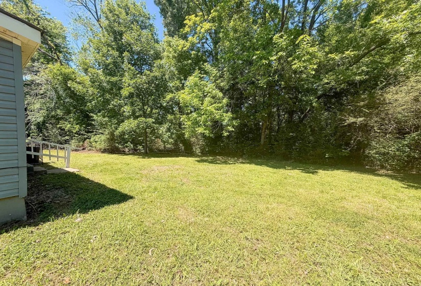 Expansive grassy yard area bordered by mature trees