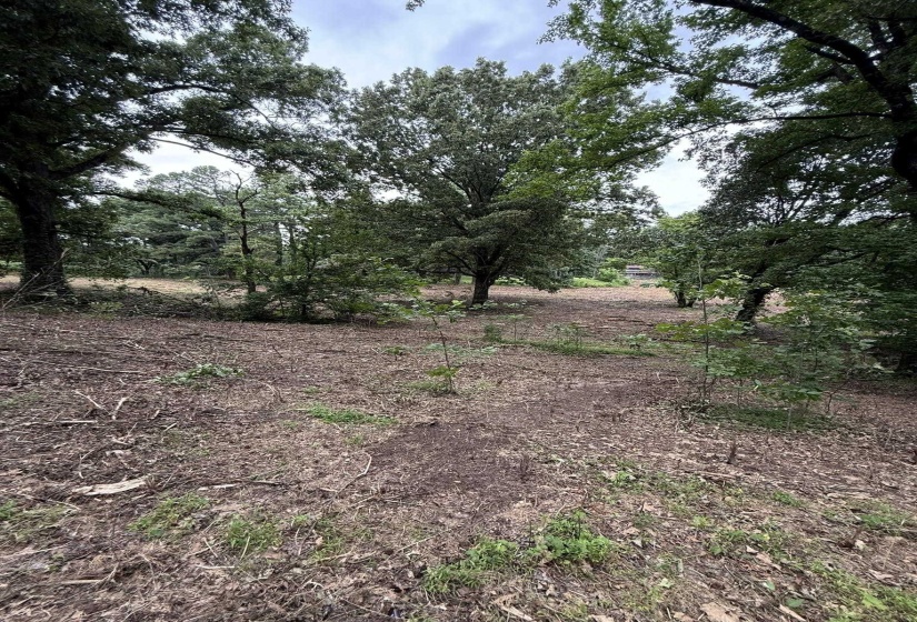 Wooded parcel featuring mature trees and cleared ground