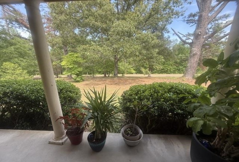 Expansive outdoor space featuring mature trees and established shrubbery, with a concrete porch and classic column architectural details