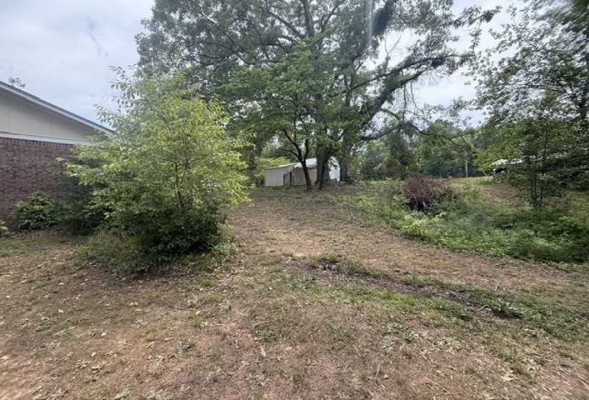 Expansive natural landscaping with mature trees and a detached shed