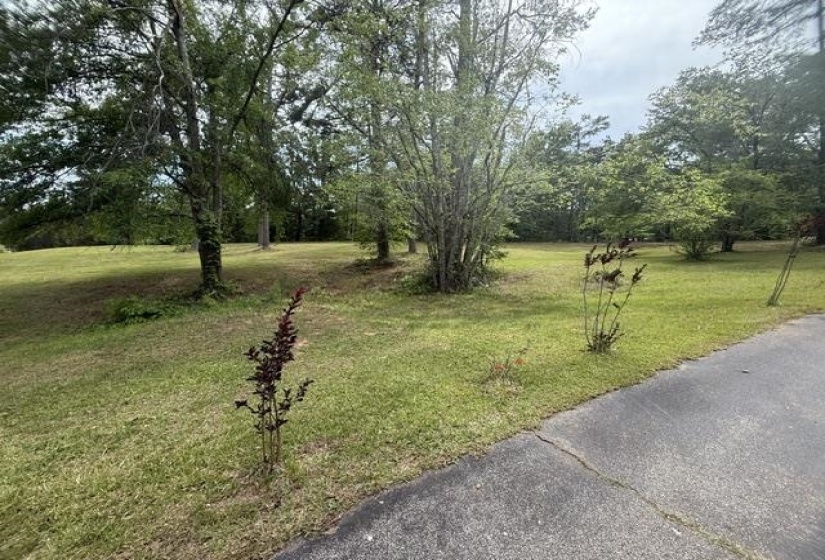 Expansive green lawn featuring mature trees and established plantings