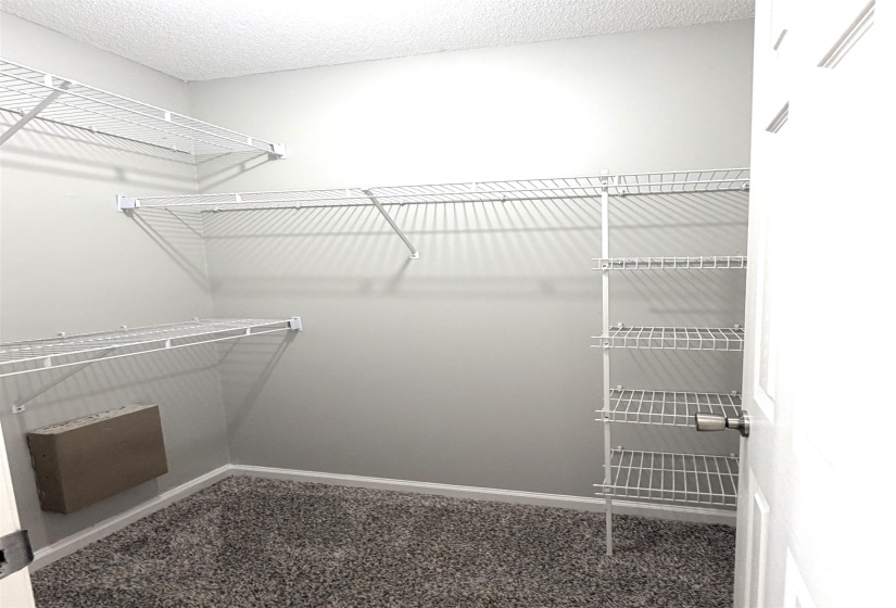 Walk-in closet featuring built-in wire shelving, textured gray carpet, light gray walls, and white baseboards