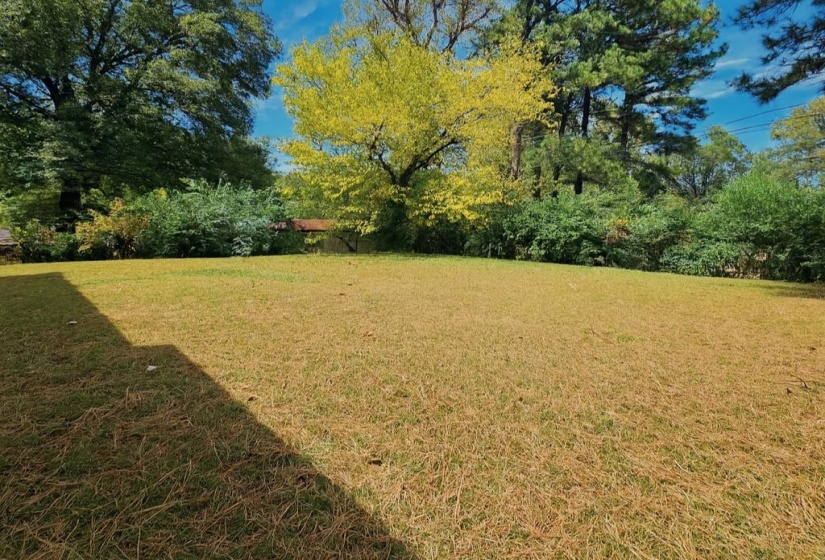 View of green lawn with view of wooded area