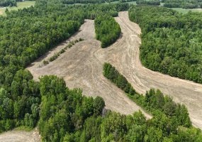 1200 SAND RIDGE BARGERTON RD, Lexington, Tennessee 38351, ,Land,For Sale,SAND RIDGE BARGERTON,10221809