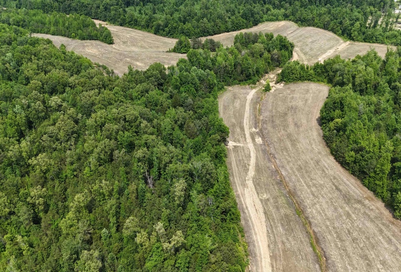1200 SAND RIDGE BARGERTON RD, Lexington, Tennessee 38351, ,Land,For Sale,SAND RIDGE BARGERTON,10221809