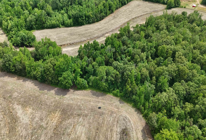 1200 SAND RIDGE BARGERTON RD, Lexington, Tennessee 38351, ,Land,For Sale,SAND RIDGE BARGERTON,10221809