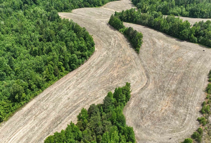 1200 SAND RIDGE BARGERTON RD, Lexington, Tennessee 38351, ,Land,For Sale,SAND RIDGE BARGERTON,10221809
