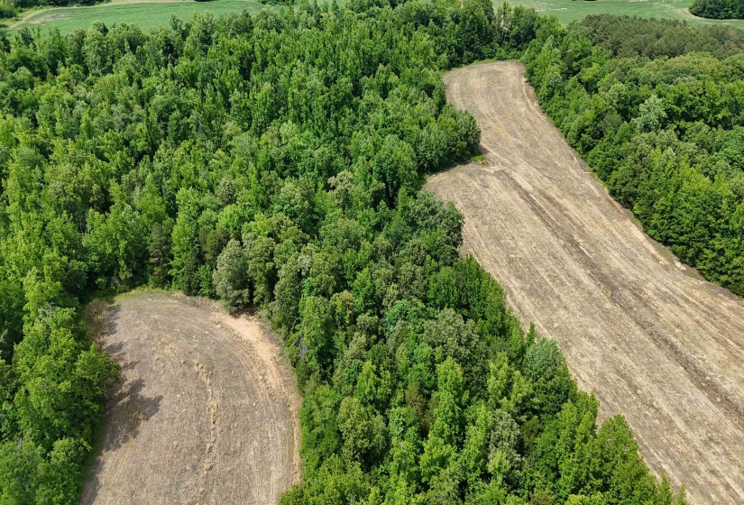 1200 SAND RIDGE BARGERTON RD, Lexington, Tennessee 38351, ,Land,For Sale,SAND RIDGE BARGERTON,10221809