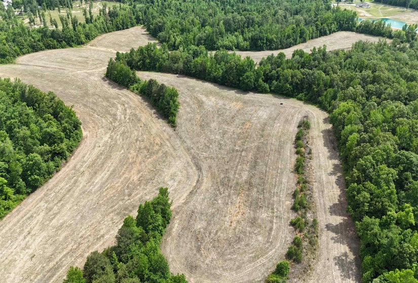 1200 SAND RIDGE BARGERTON RD, Lexington, Tennessee 38351, ,Land,For Sale,SAND RIDGE BARGERTON,10221809