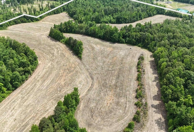 1200 SAND RIDGE BARGERTON RD, Lexington, Tennessee 38351, ,Land,For Sale,SAND RIDGE BARGERTON,10221809