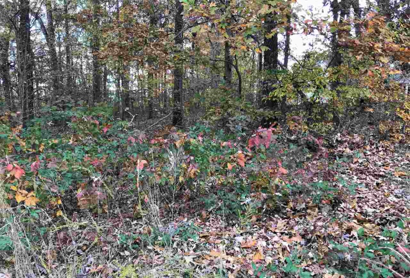 1 COUNTRYWOODS DR, Selmer, Tennessee 38375, ,Land,For Sale,COUNTRYWOODS,10221850