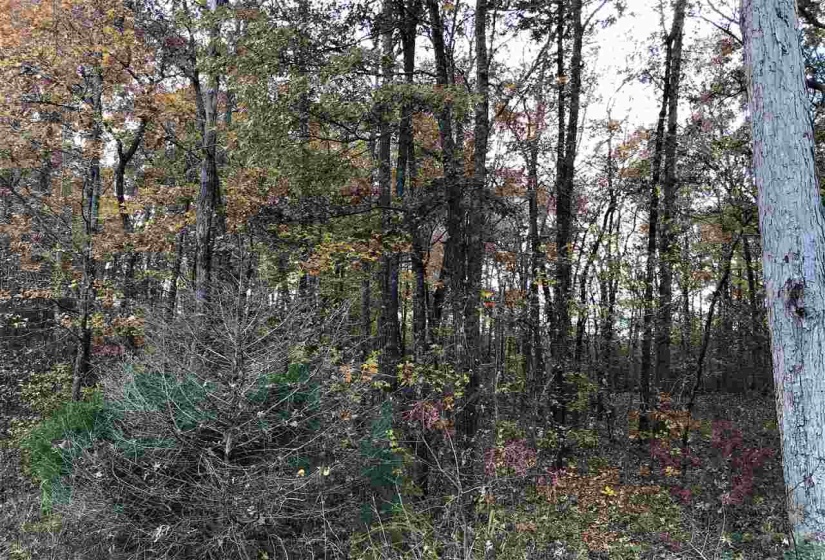 1 COUNTRYWOODS DR, Selmer, Tennessee 38375, ,Land,For Sale,COUNTRYWOODS,10221850